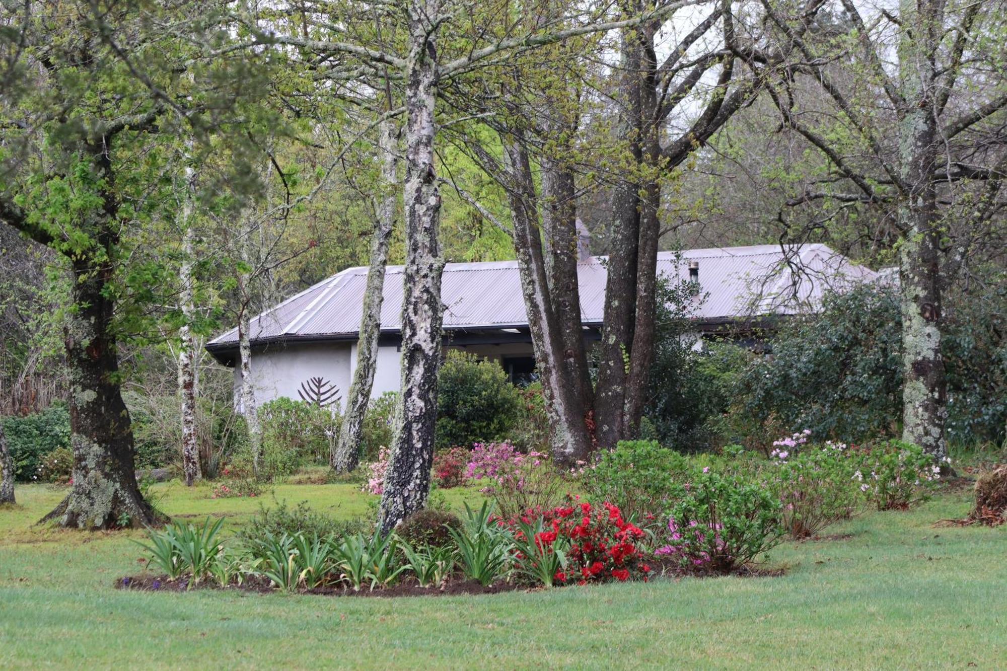 Bramber Cottage Hogsback, Living With Joy! Kültér fotó